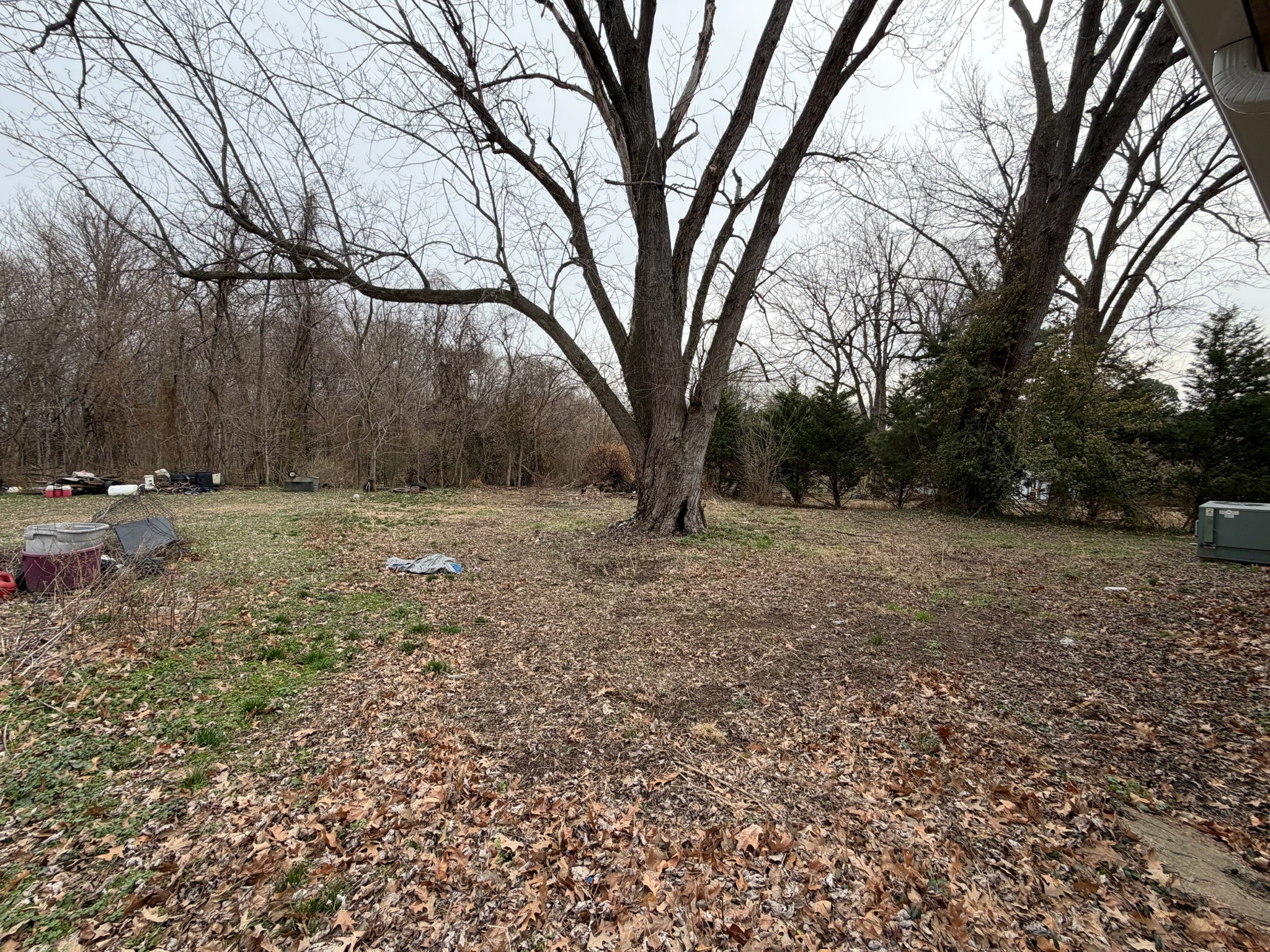 109 Apple Tree Street Arlington, KY 42021 - Photo 17 of 18 a view of dirt yard with a tree
