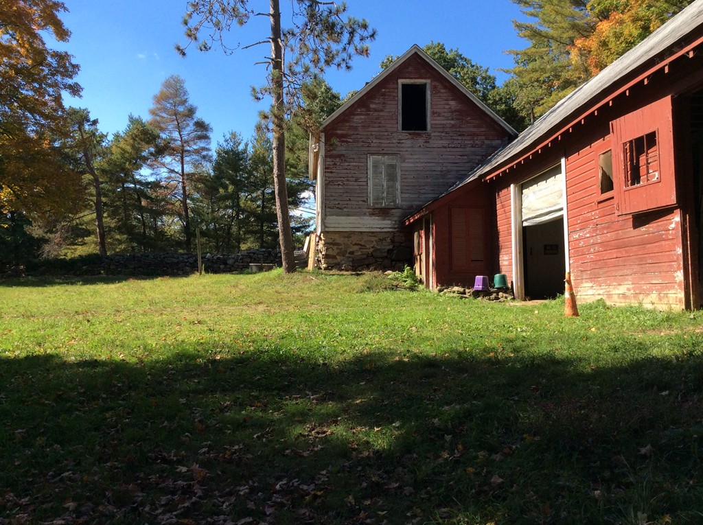 46 Old Village Road Sturbridge, MA 01566 - Photo 17 of 18 a view of a backyard with potted plants and large tree