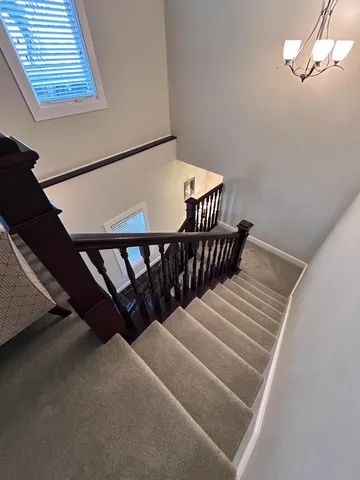 a view of a backyard with plants and a garden