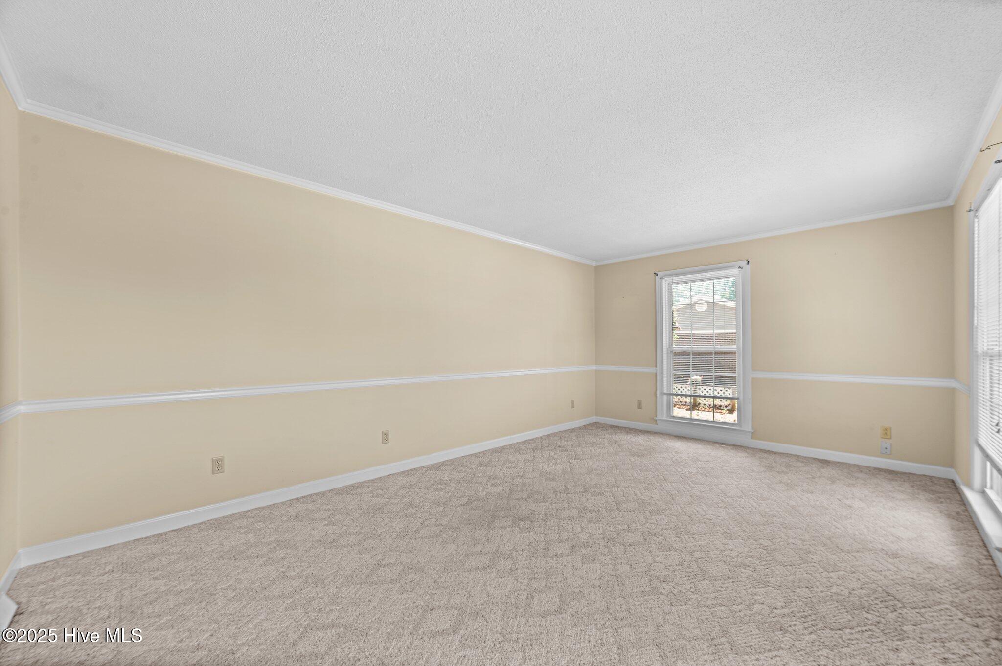 6715 Clarks Neck Road Washington, NC 27889 - Photo 10 of 53 Living Area