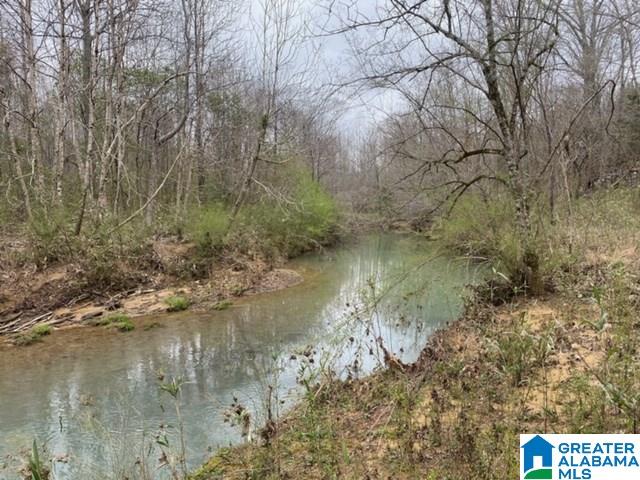 Pendley Creek Road, Unit 7 Carbon Hill, AL 35549 - Photo 10 of 10