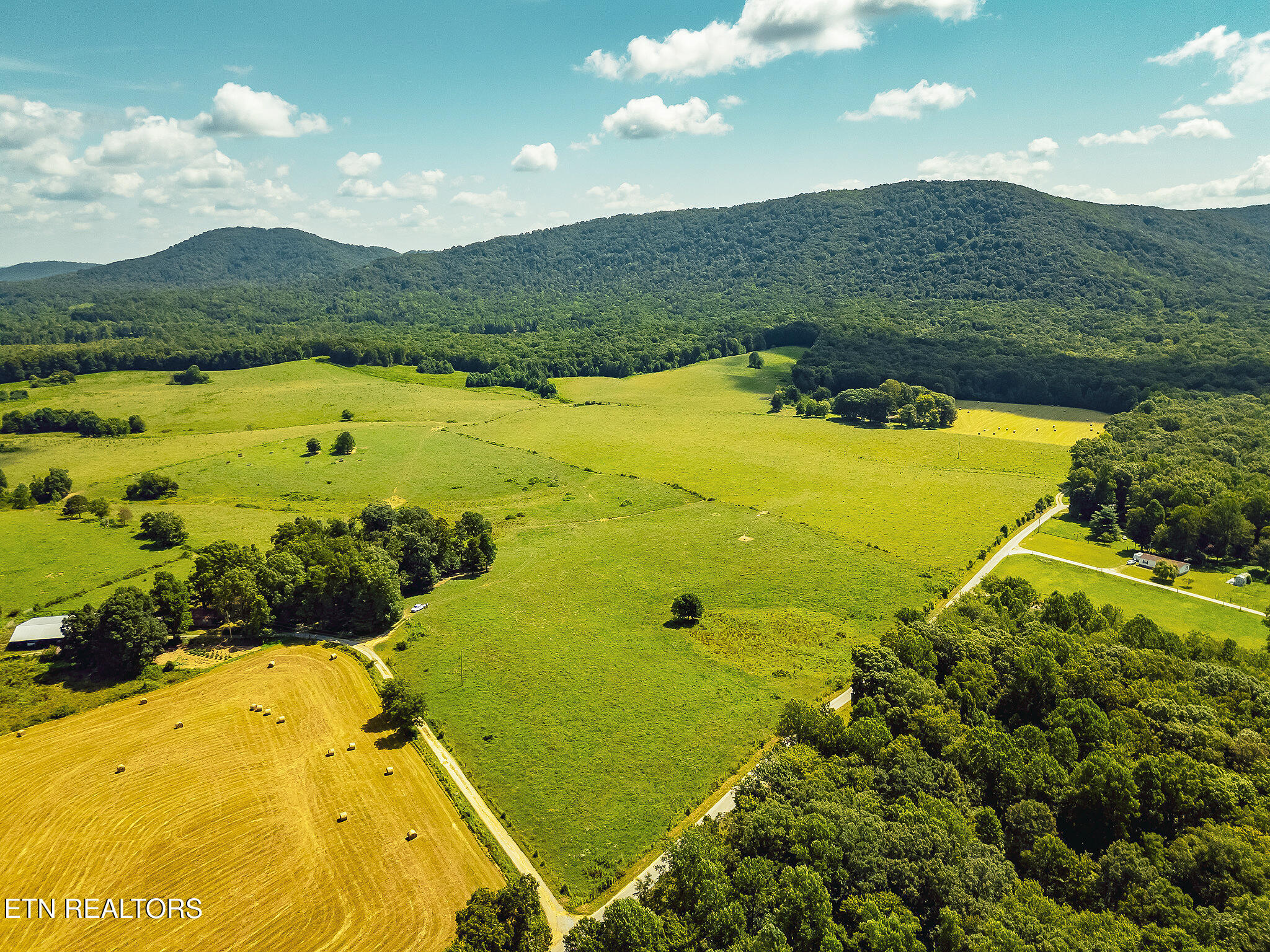 White Oak Circle Sunbright, TN 37872 - Photo 13 of 15 11