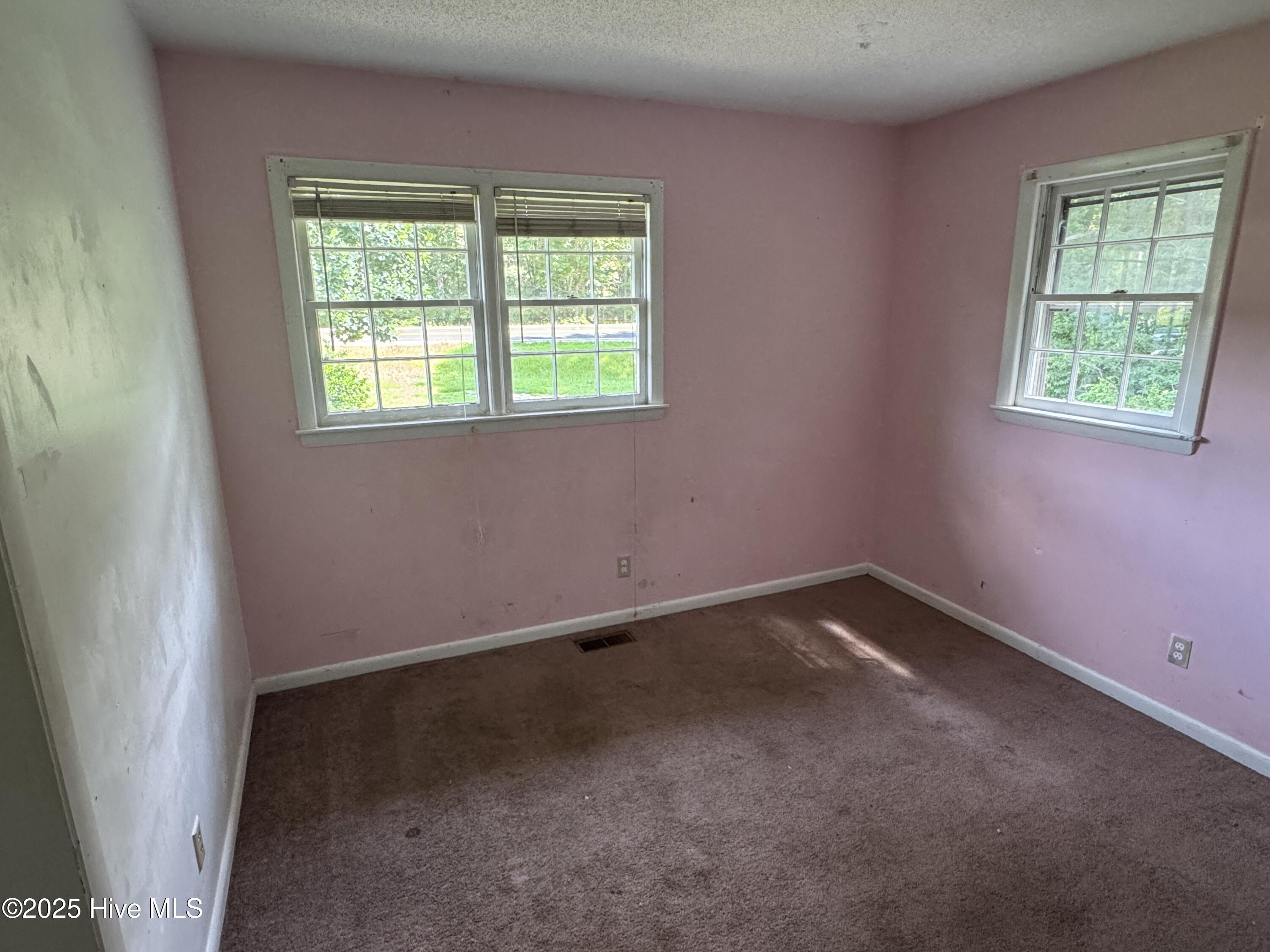 501 Gay Road Zebulon, NC 27597 - Photo 6 of 13 IMG_2073