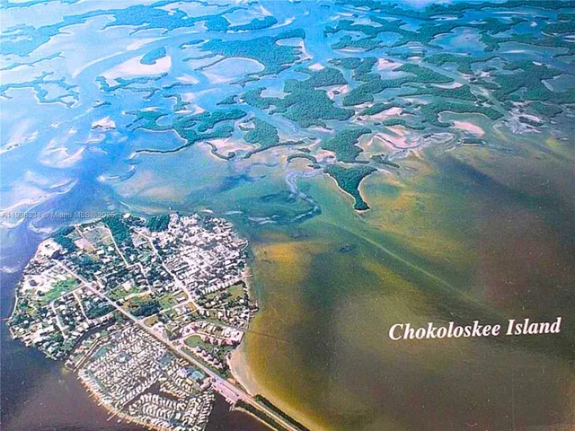 a view of a house with a backyard patio and swimming pool