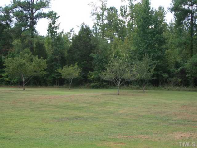 4053 Fairport Road Kittrell, NC 27544 - Photo 13 of 15 Nice level backyard with fruit trees already planted.
