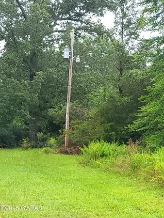 a view of a lush green forest