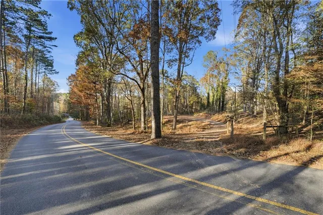 a view of a trees with yard