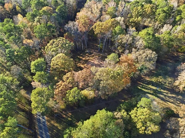 a picture of flowers