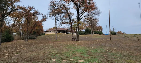 a view of road with tree