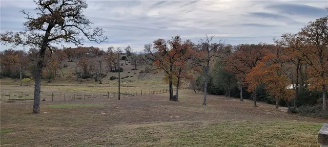 a view of a forest with trees in the background