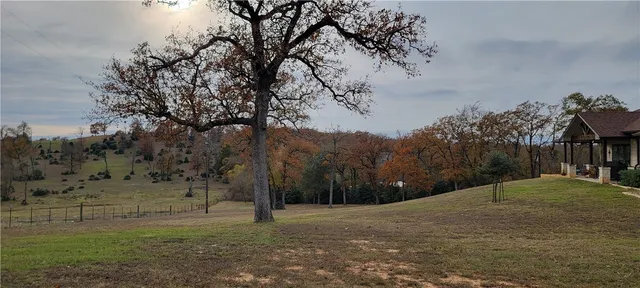 a backyard of a house with lots of green space