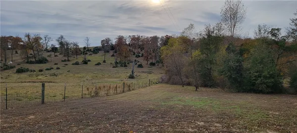 a view of a dry yard with trees