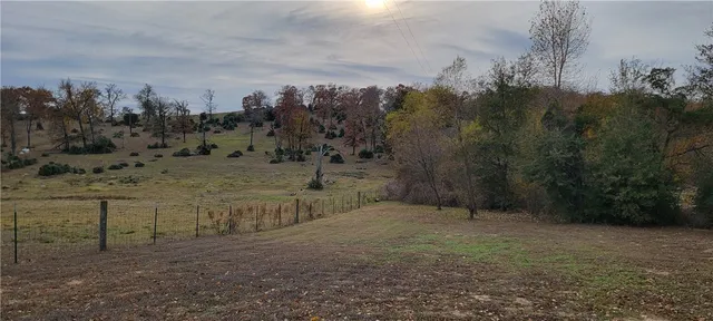 a view of a dry yard with trees