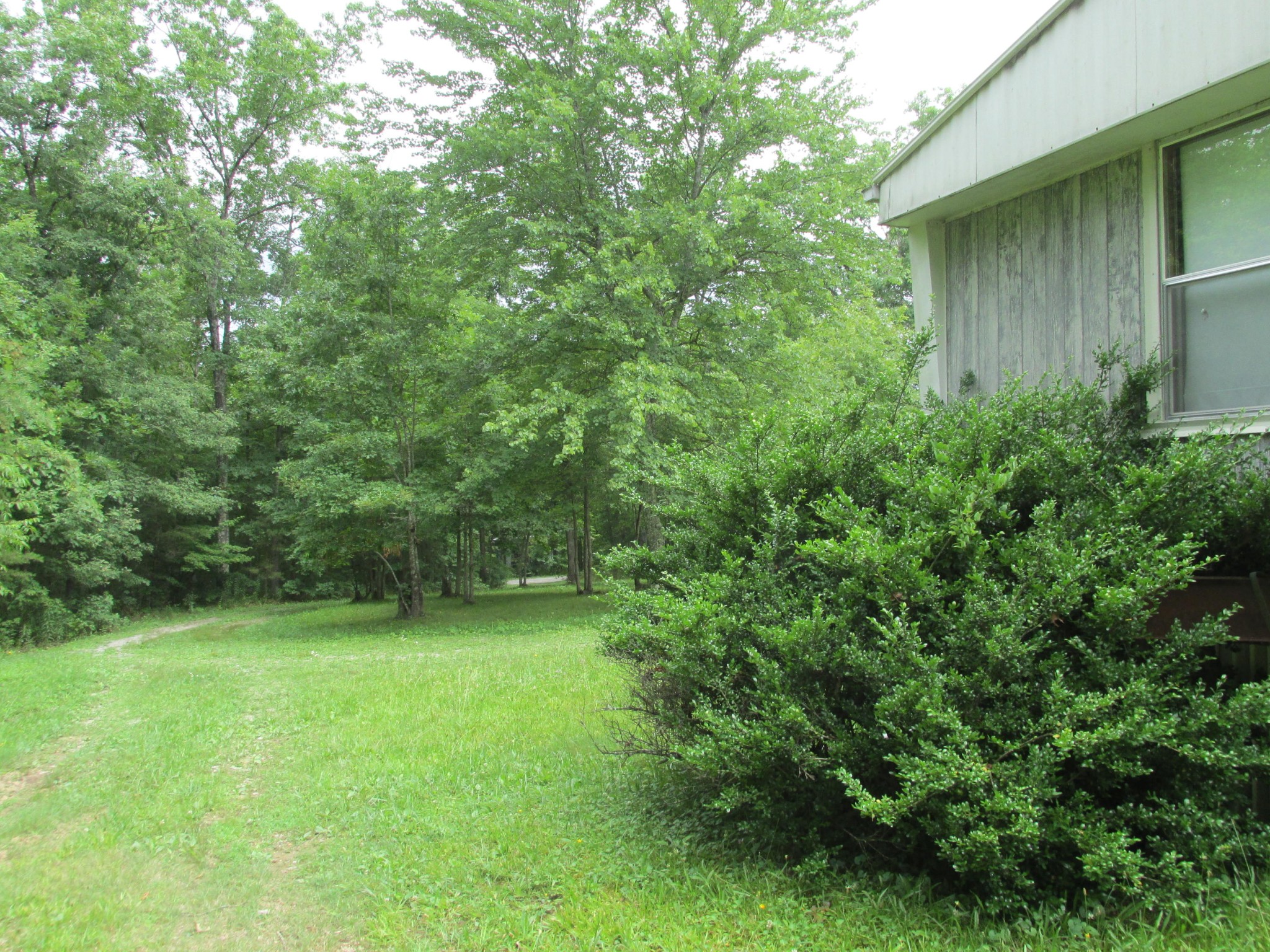 243 Rankin Road Deer Lodge, TN 37726 - Photo 6 of 39 Gallery Image 6