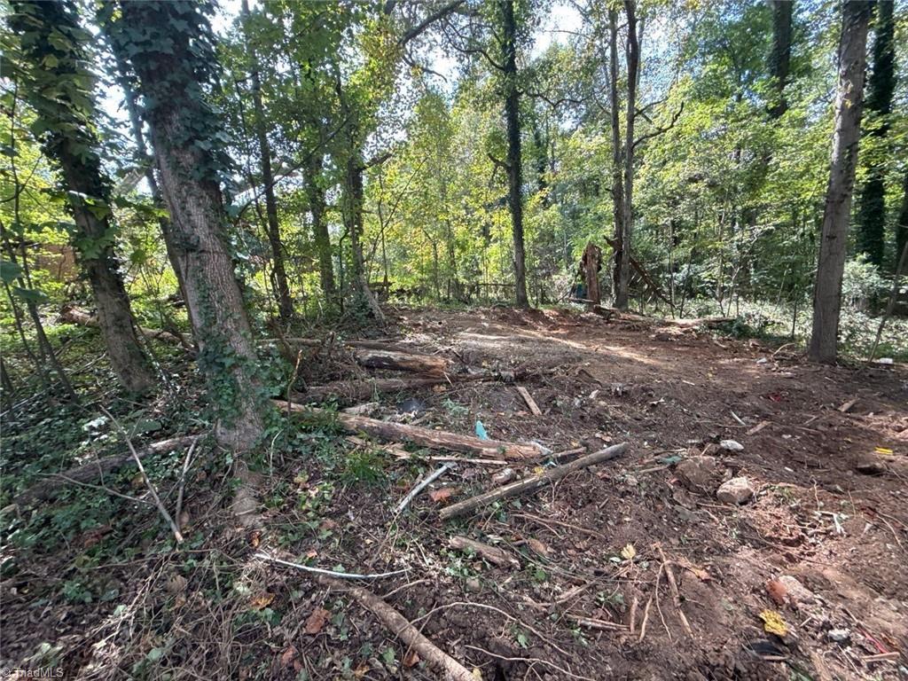 0 Yukon Road Walkertown, NC 27051 - Photo 5 of 10 Gallery Image 5