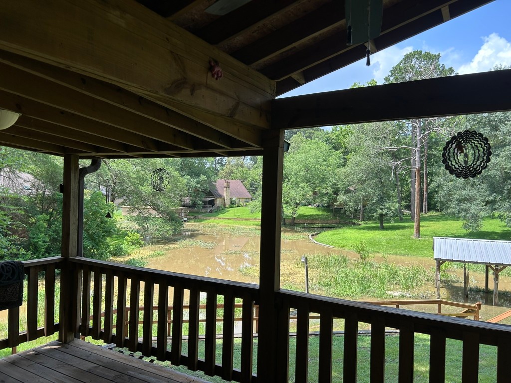 162 Cove View Drive Trinity, TX 75862 - Photo 2 of 50 a view of backyard with green space