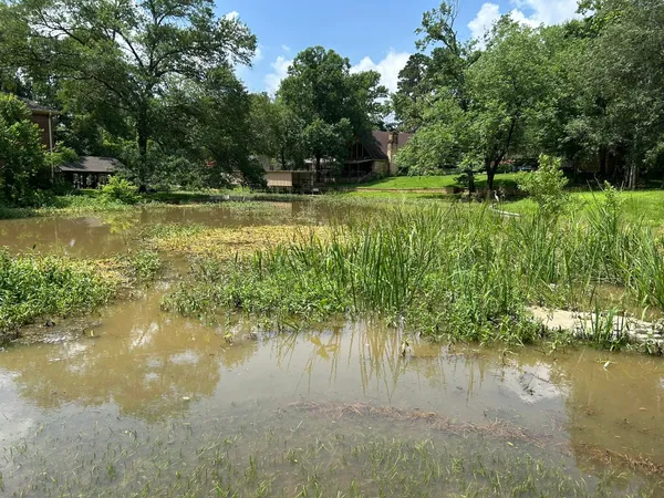 $217,152 | 162 Cove View Drive, Trinity, TX 75862