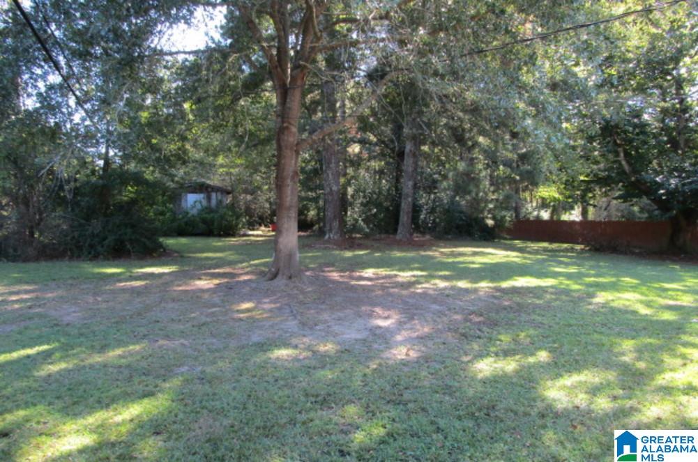 5389 Memory Lane Mount Olive, AL 35117 - Photo 3 of 23