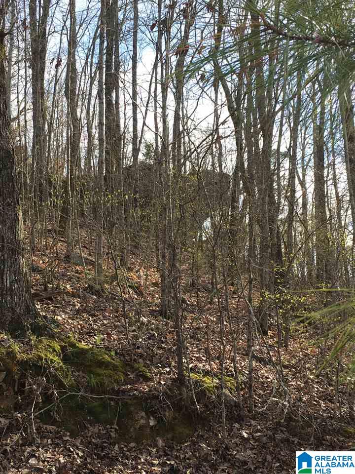 230 County Line Road Oxford, AL 36203 - Photo 27 of 50