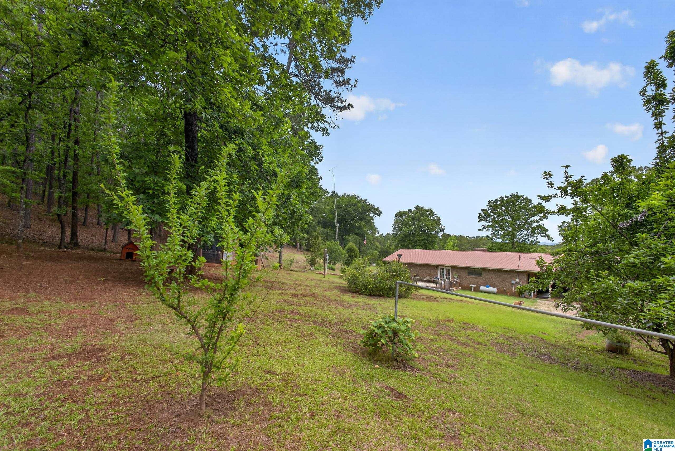 625 Hazelbrook Lane Alpine, AL 35014 - Photo 17 of 53