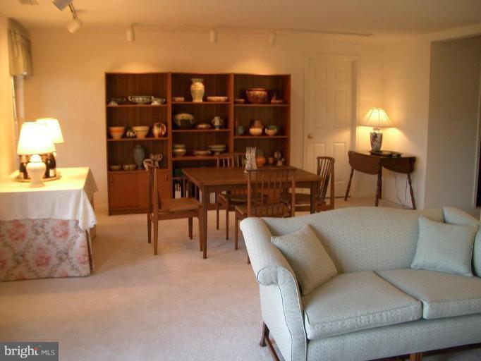 11298 Country Club Road New Market, MD 21774 - Photo 8 of 9 Lower walk-out features extra large room & full BA