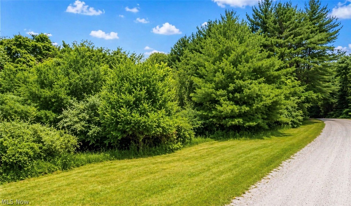 230 Thunder Road Northwest Magnolia, OH 44643 - Photo 12 of 16