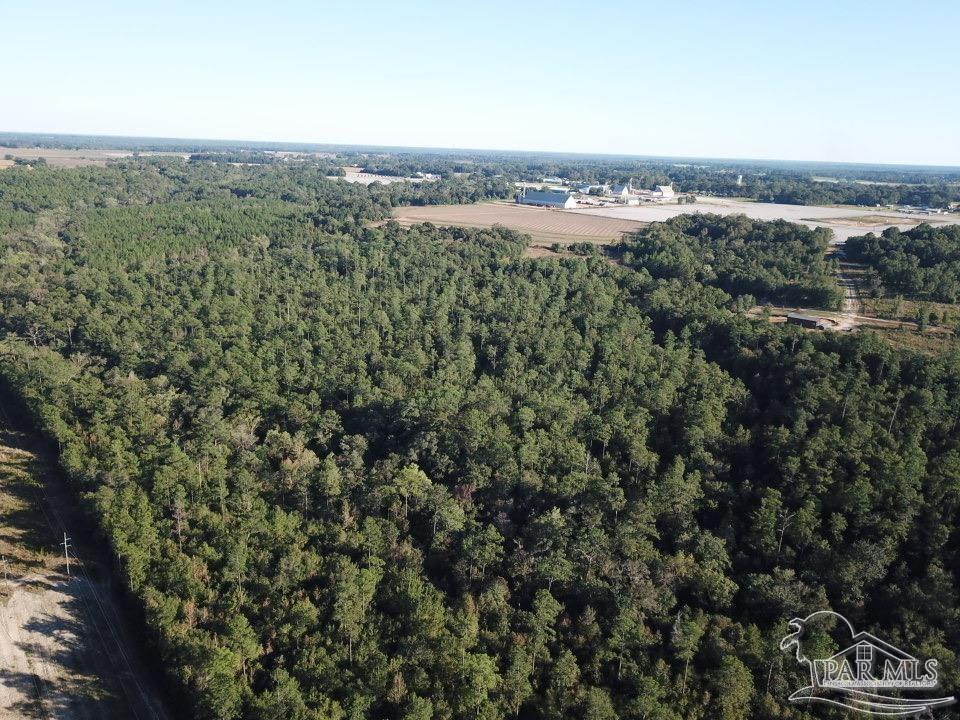 85-acres Wiley Scott Road Jay, FL 32565 - Photo 4 of 9