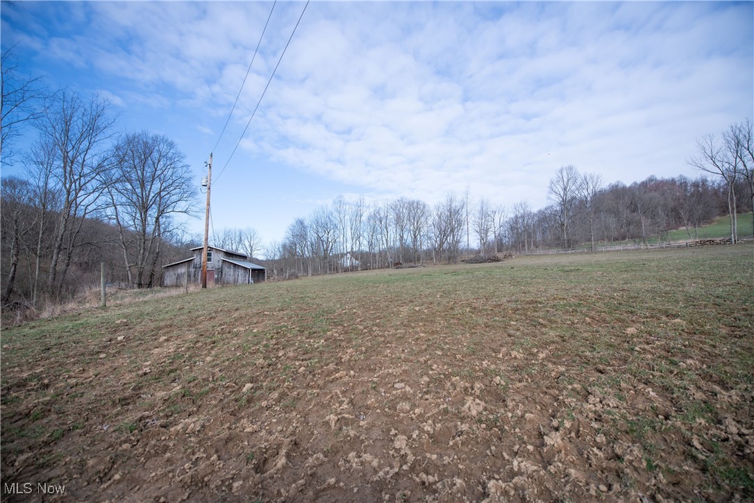 2284 Panama Road Southeast Carrollton, OH 44615 - Photo 35 of 50 View of yard