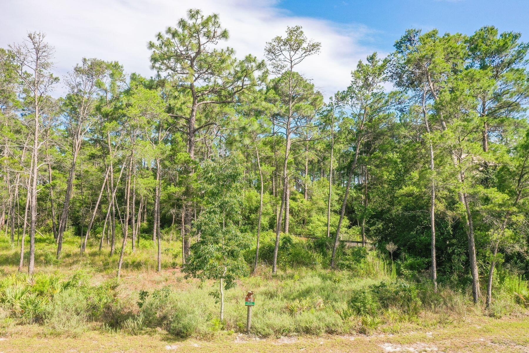 1412 Turtleback Trail Panama City Beach, FL 32413 - Photo 8 of 32 17
