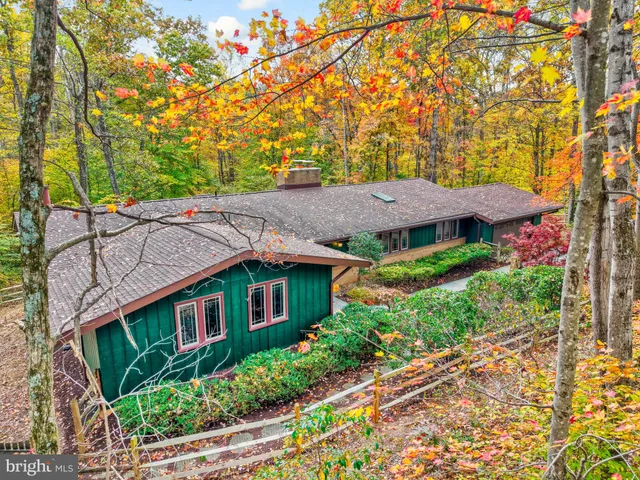 a view of a house with a small yard and a large tree