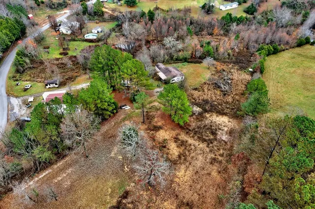 a view of a garden with plants and large trees