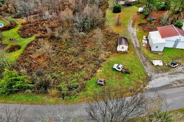 a picture of street view with a garden