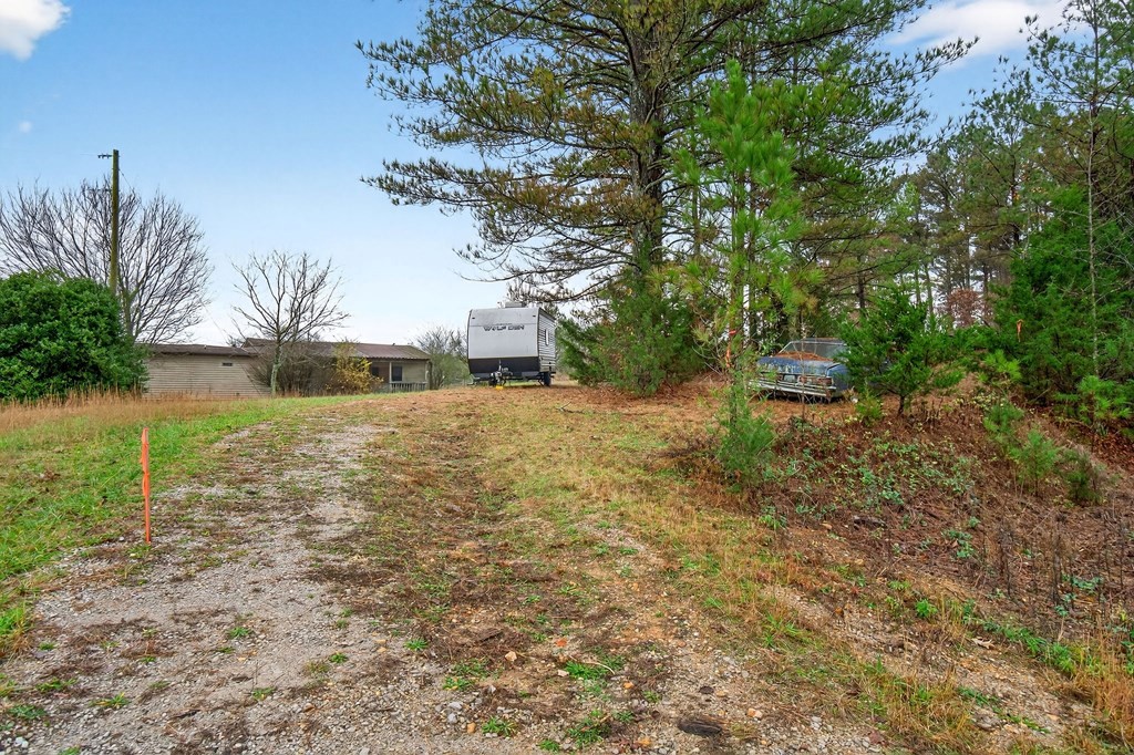 265 North Center Point Acres Walling, TN 38587 - Photo 8 of 19 a view of a yard with plants and a bench