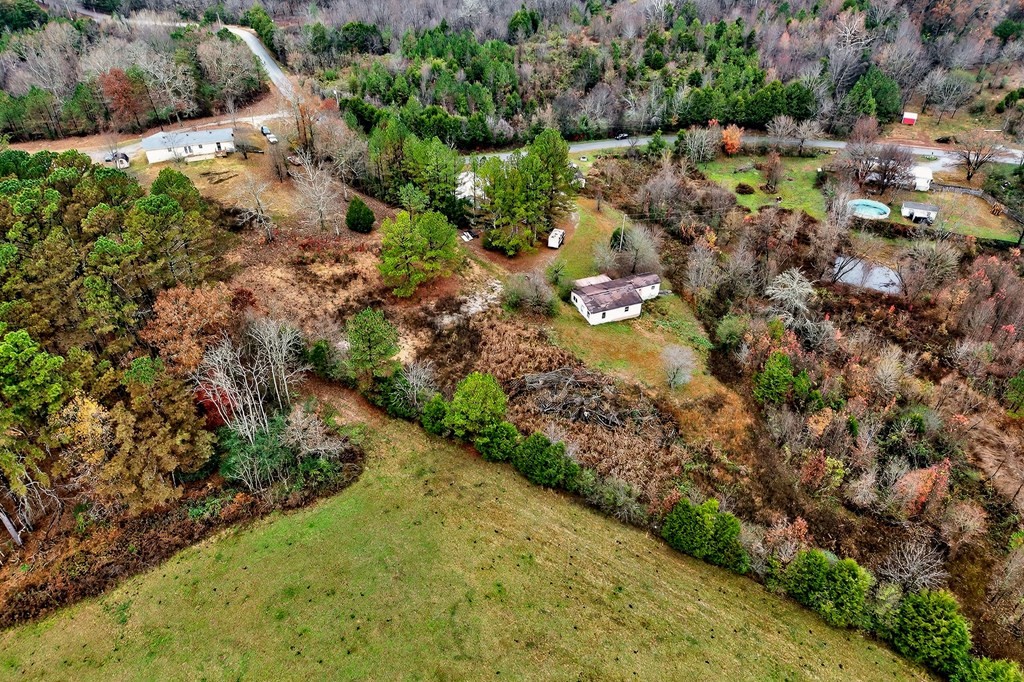 265 North Center Point Acres Walling, TN 38587 - Photo 9 of 19 a view of a garden with plants