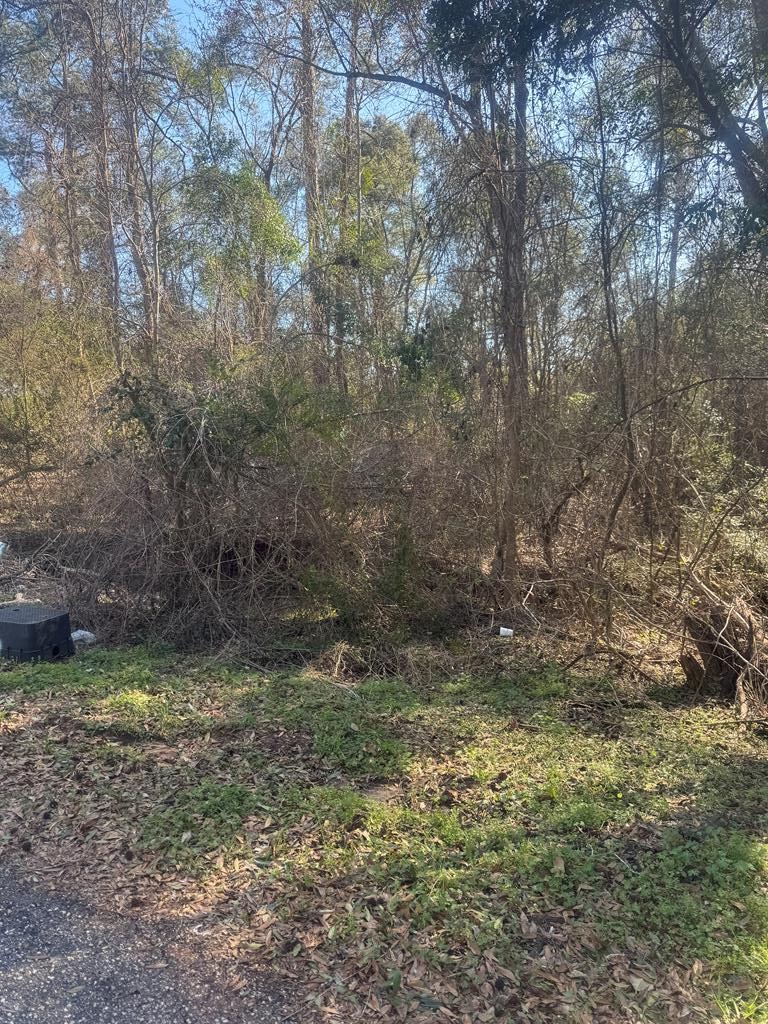 0 Vining Drive Dothan, AL 36303 - Photo 4 of 7