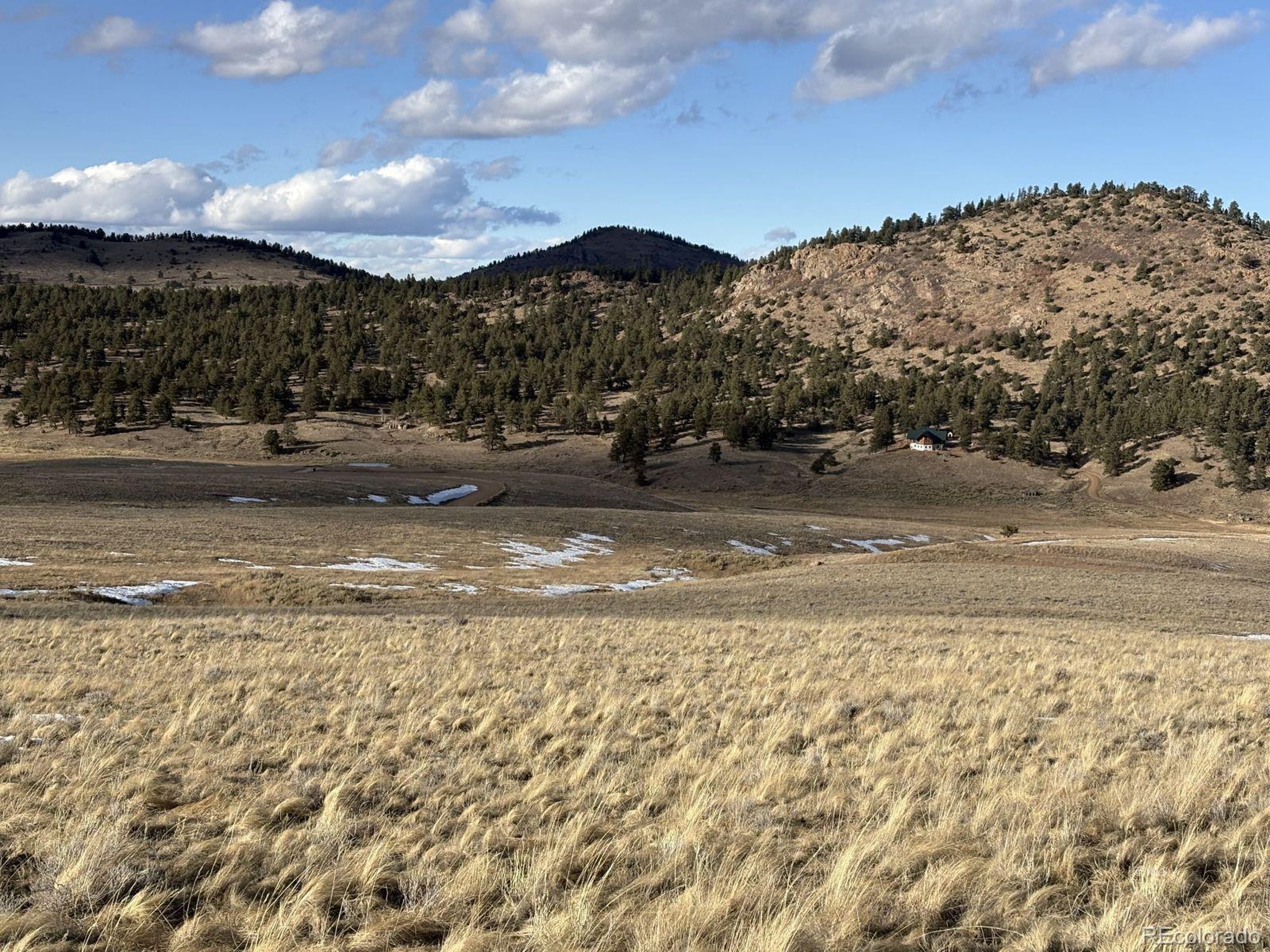 29 Eagle Springs Road Westcliffe, CO 81252 - Photo 11 of 17 a view of a yard with a large tree