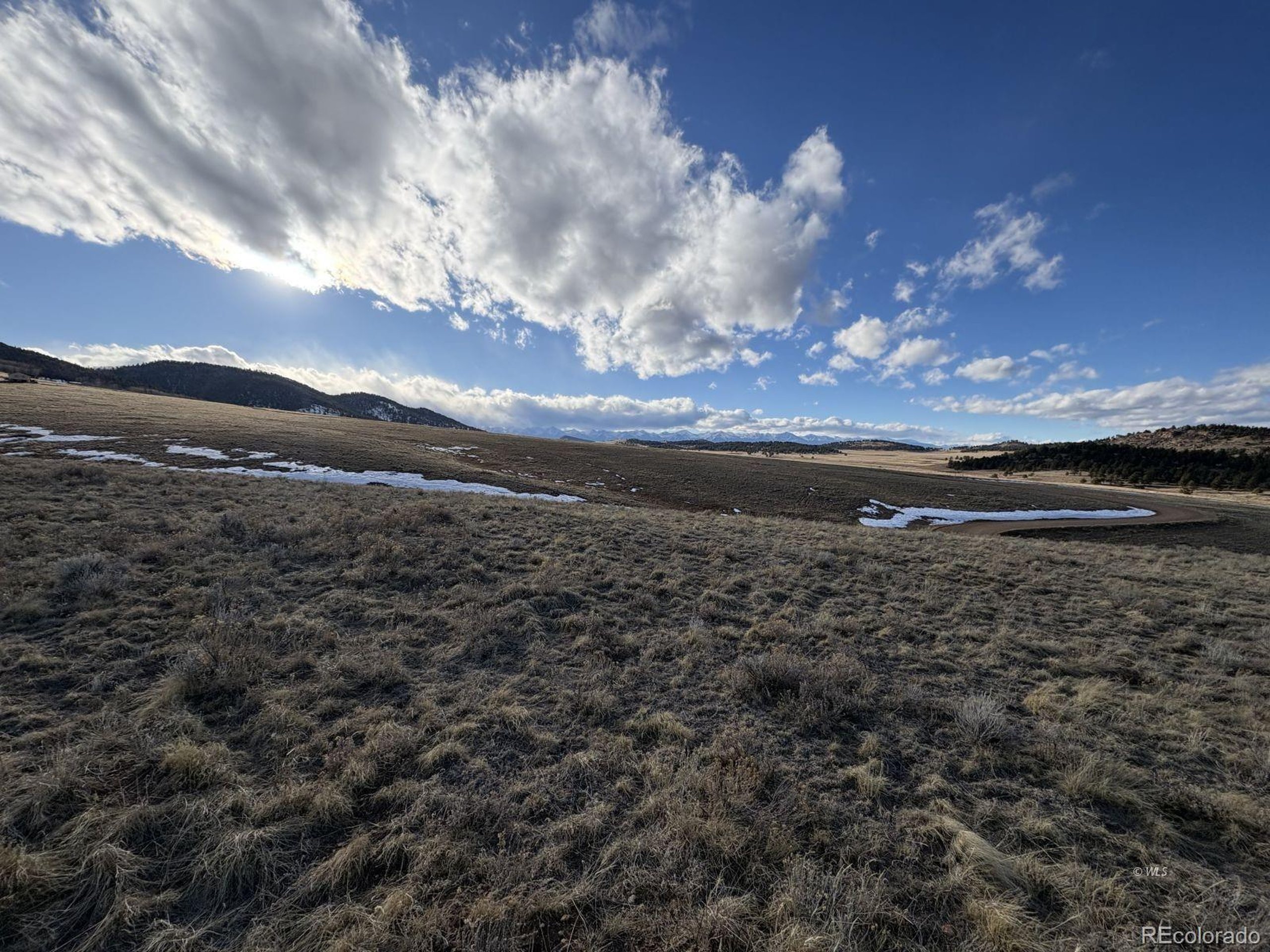29 Eagle Springs Road Westcliffe, CO 81252 - Photo 7 of 17 a view of a yard