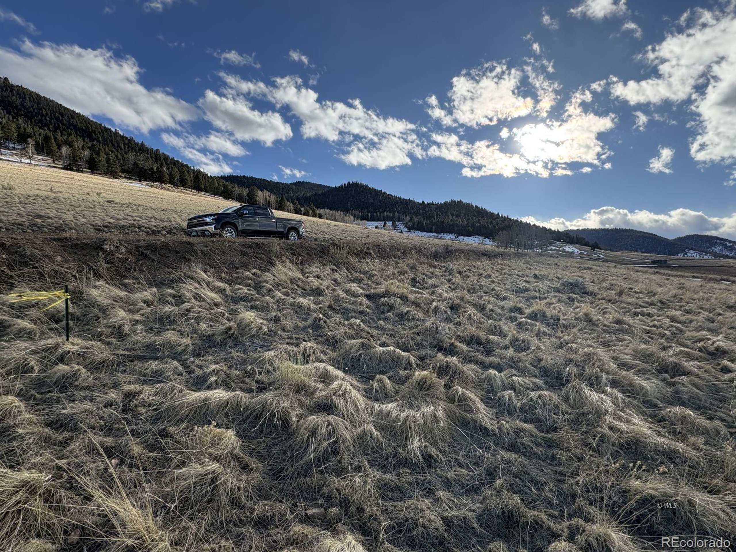 29 Eagle Springs Road Westcliffe, CO 81252 - Photo 10 of 17 a view of a lake in middle of green field
