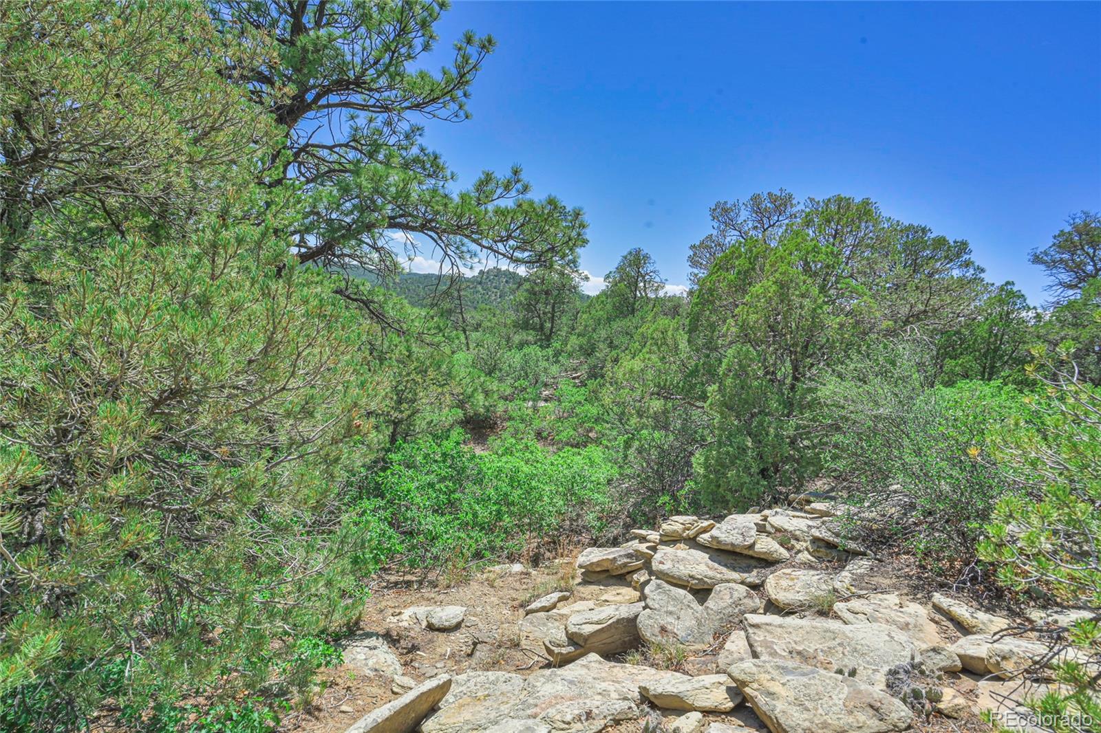 Fishers Peak Ranch Trinidad, CO 81082 - Photo 14 of 32