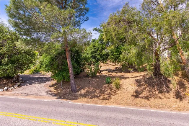a view of a yard with plants and trees