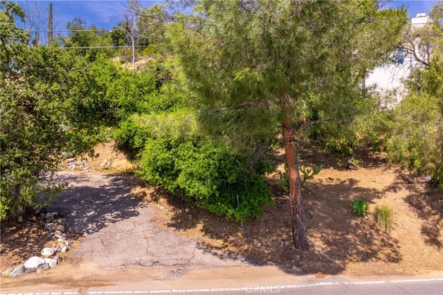 a view of a large yard with lots of green space