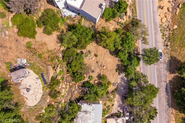 a picture of flowers