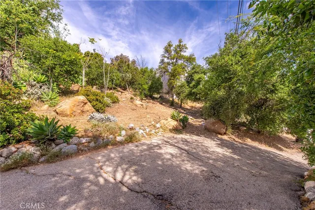 a view of a yard with plants and trees