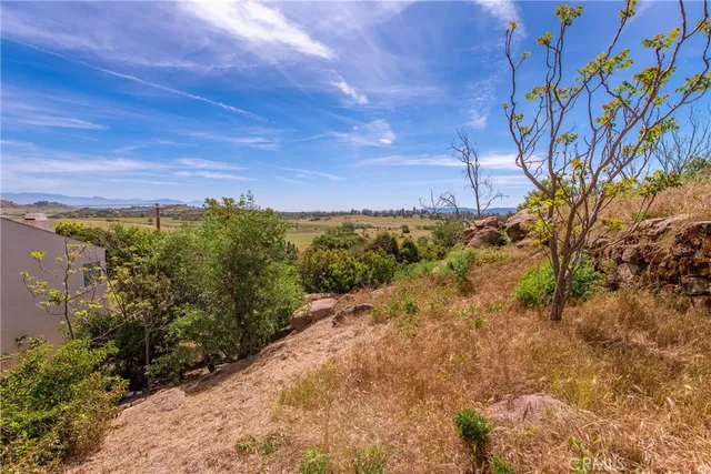 a view of a yard with an trees