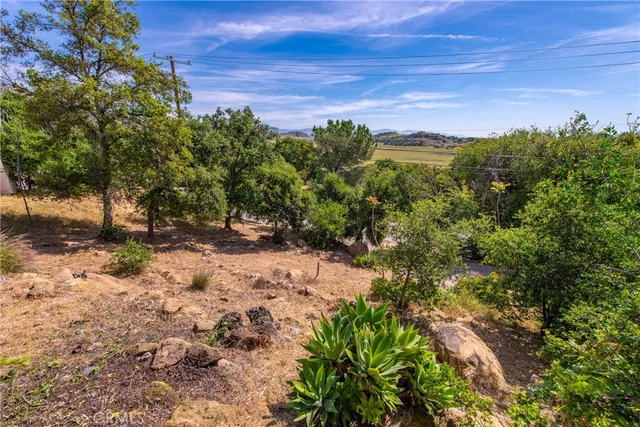 a view of a yard with a tree