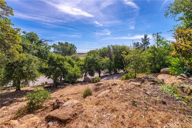 a view of a large yard with lots of green space