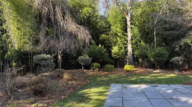 a view of a backyard with large trees