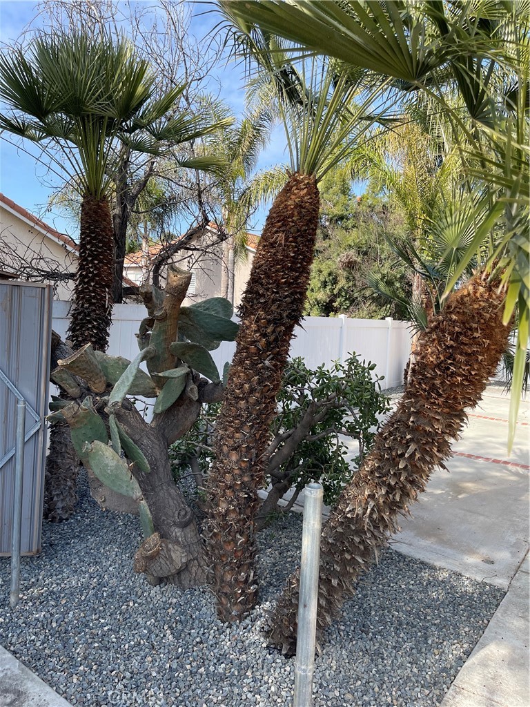 9279 Middlefield Drive Riverside, CA 92508 - Photo 23 of 26 a backyard of a house with lots of green space