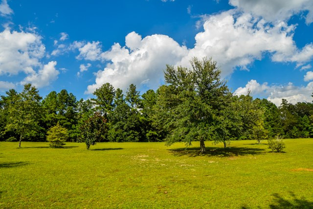 113 McVey Road Aiken, SC 29803 - Photo 11 of 39