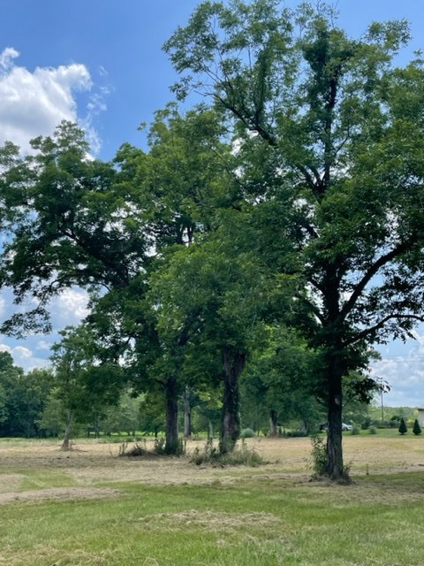 1130 Dudley Rimes Road Magnolia, MS 39652 - Photo 6 of 18 Photo 6